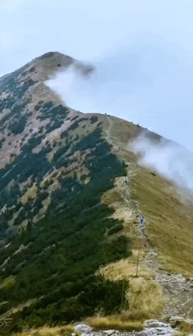 Manali