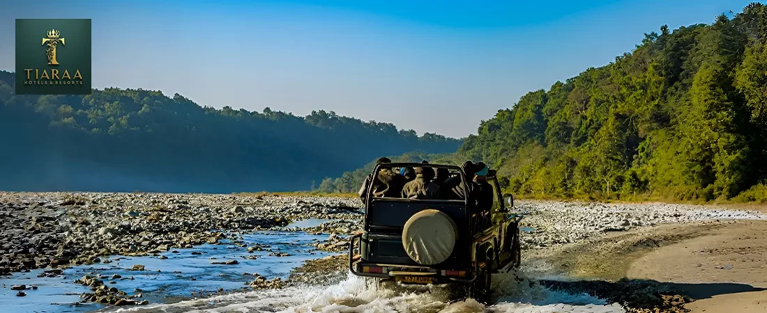 Delhi to Corbett: The Ultimate Luxury Road Trip Guide