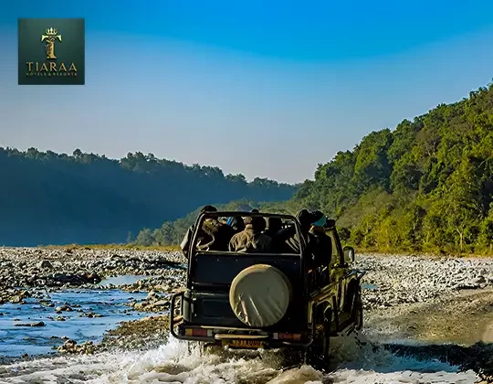 Delhi to Corbett: The Ultimate Luxury Road Trip Guide