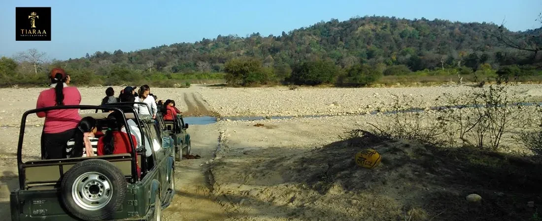 Ultimate Guide to Jim Corbett’s Safaris: Best Zones, Tips, and Timings