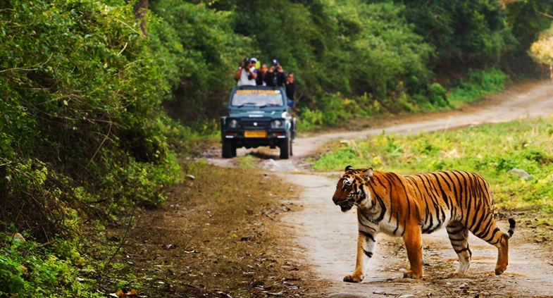 6 Stunning Activities around Jim Corbett – The Perfect dose of your weekend trip Introduction