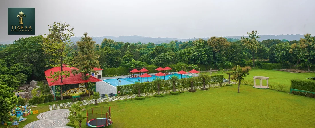 Private Pools or Open Jungle Views: What Makes a Jim Corbett Resort Stay More Relaxing?