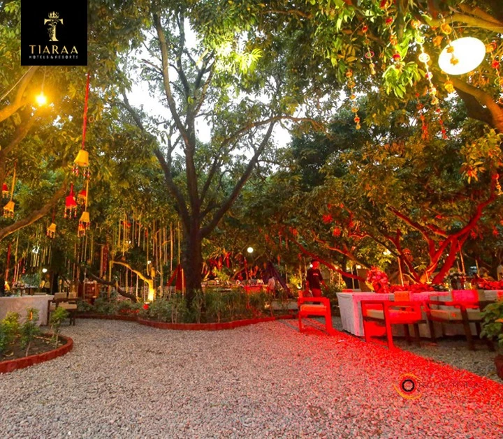 Discover the Best Hotels and Resorts in Jim Corbett for an Unforgettable Stay