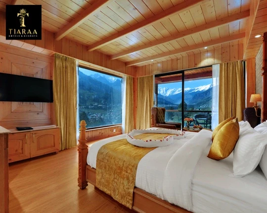 Regular Room vs. Honeymoon Suite: Which Is Best for a Honeymoon?