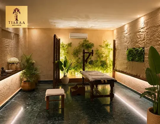 Top Wellness Resorts in Jim Corbett for a Holistic Experience