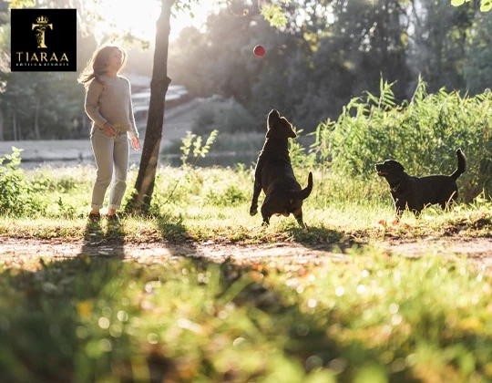 Why Pet Friendly Hotels in Bhimtal Are Perfect for Animal Lovers