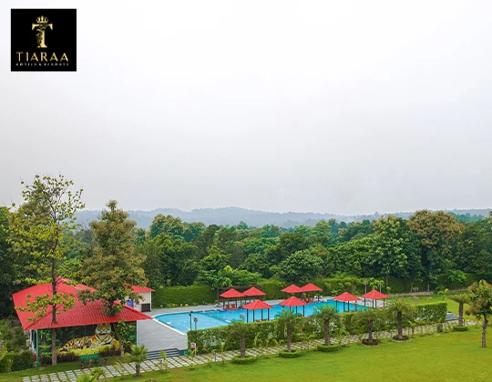Why Should You Choose Tiaraa Hotel and Resort In Jim Corbett