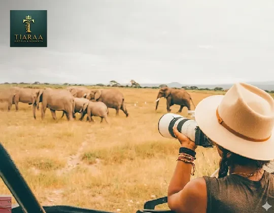 Exploring Jim Corbett Alone: The Ultimate Solo Travel Experience in the Wild