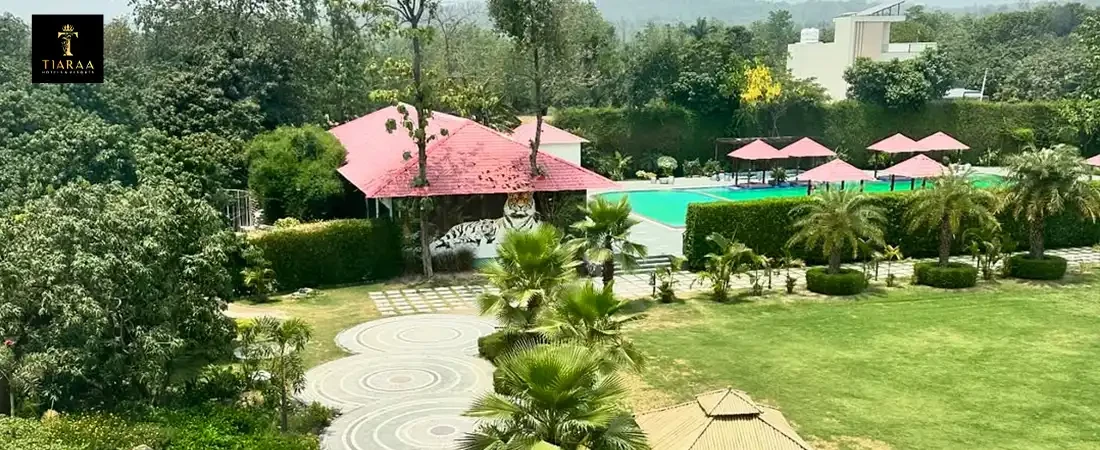 Reasons Jim Corbett Resorts Outshine Every Jungle Stay in India