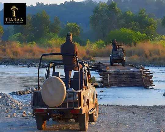 How the Best Hotels in Jim Corbett Enhance Your Jungle Safari Adventure