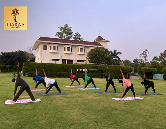 The Weekend Wellness Blueprint: What 2 Nights and 3 Days in Jim Corbett Can Actually Fix?