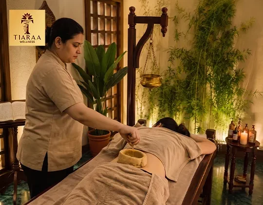 Planning a Detox and Rejuvenation Retreat in India? Start With Jim Corbett
