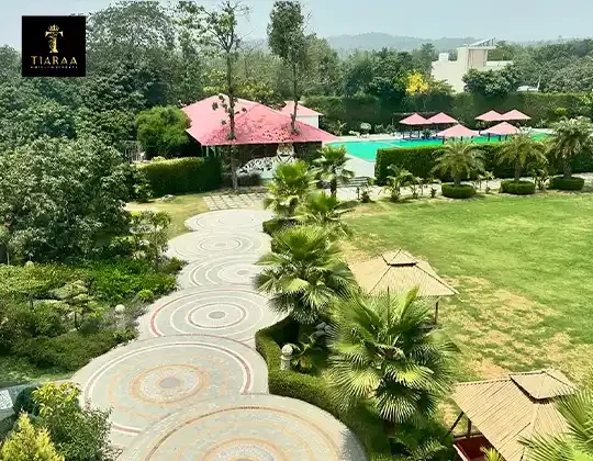 Reasons Jim Corbett Resorts Outshine Every Jungle Stay in India