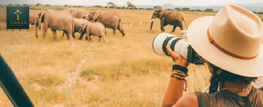 Exploring Jim Corbett Alone: The Ultimate Solo Travel Experience in the Wild