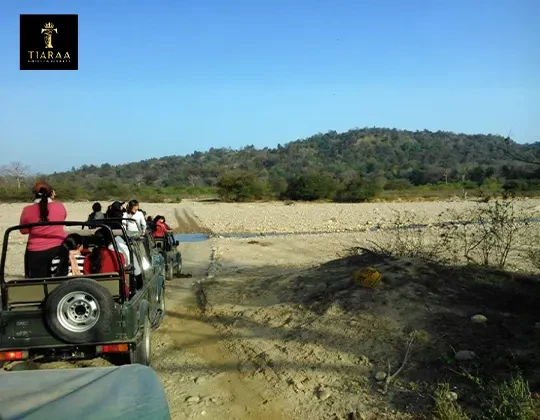 Ultimate Guide to Jim Corbett’s Safaris: Best Zones, Tips, and Timings